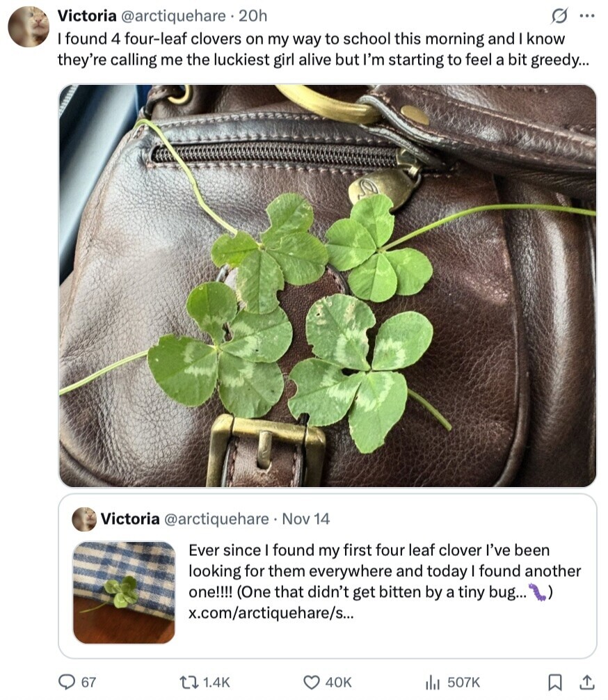 Victoria @arctiquehare 20h O ... I found 4 four-leaf clovers on my way to school this morning and I know they're calling me the luckiest girl alive but I'm starting to feel a bit greedy... Victoria @arctiquehare Nov 14 Ever since I found my first four leaf clover I've been looking for them everywhere and today I found another one!!!! (One that didn't get bitten by a tiny bug... x.com/arctiquehare/s... 67 1.4K 40K 507K 