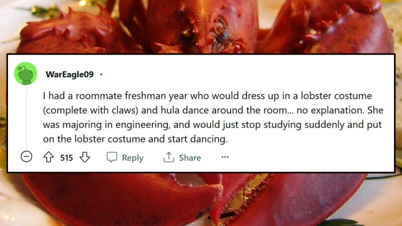 24 Funny, Wild and Bizarre Crazy Roommate Stories
