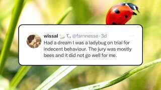 51 of the Funniest Tweets from the Week of June 16, 2025