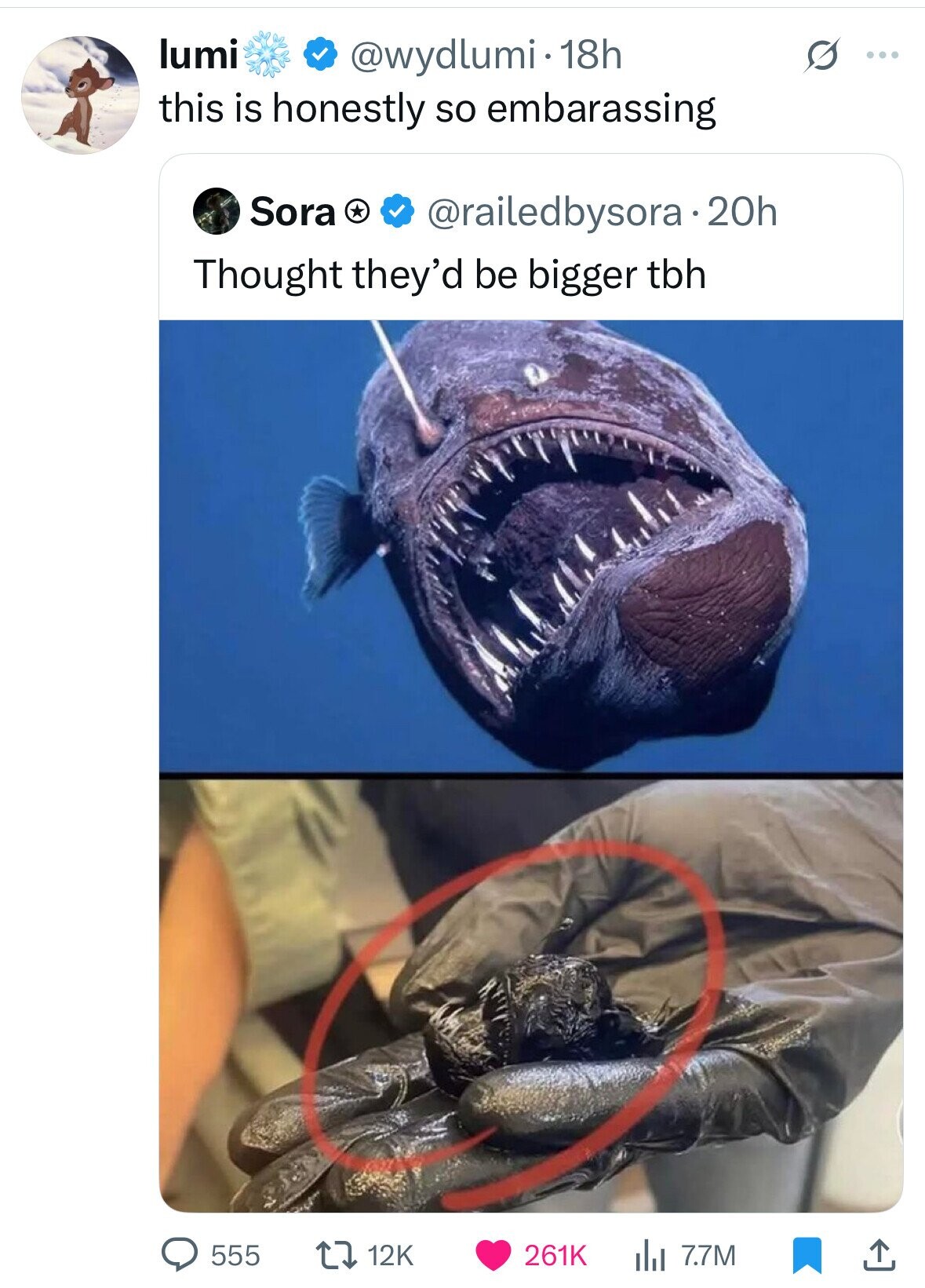lumi @wydlumi 18h ... this is honestly so embarassing Sora @railedbysora 20h Thought they'd be bigger tbh 12K 261K 555 del 7.7M