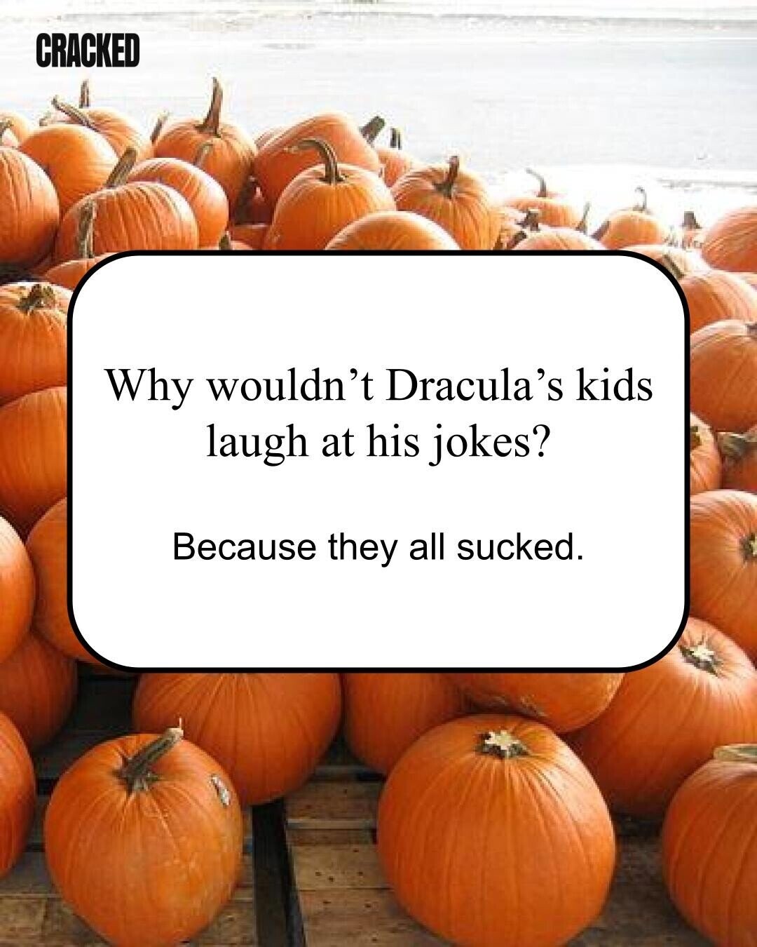 CRACKED Why wouldn't Dracula's kids laugh at his jokes? Because they all sucked.