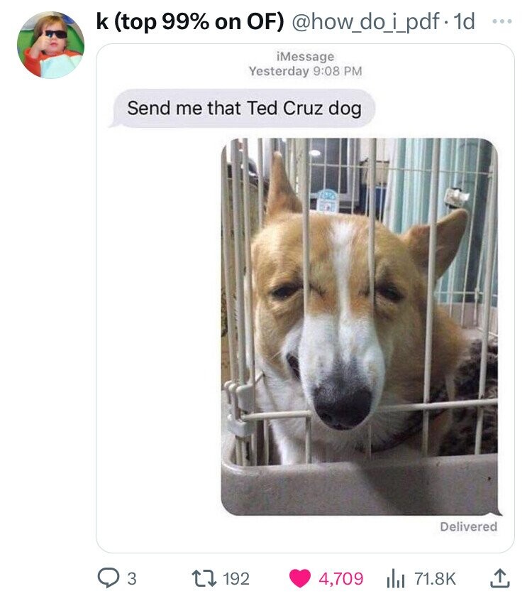 k (top 99% on OF) @how_do_j_pdf-1d iMessage Yesterday 9:08 PM Send me that Ted Cruz dog Delivered 3 192 4,709 71.8K
