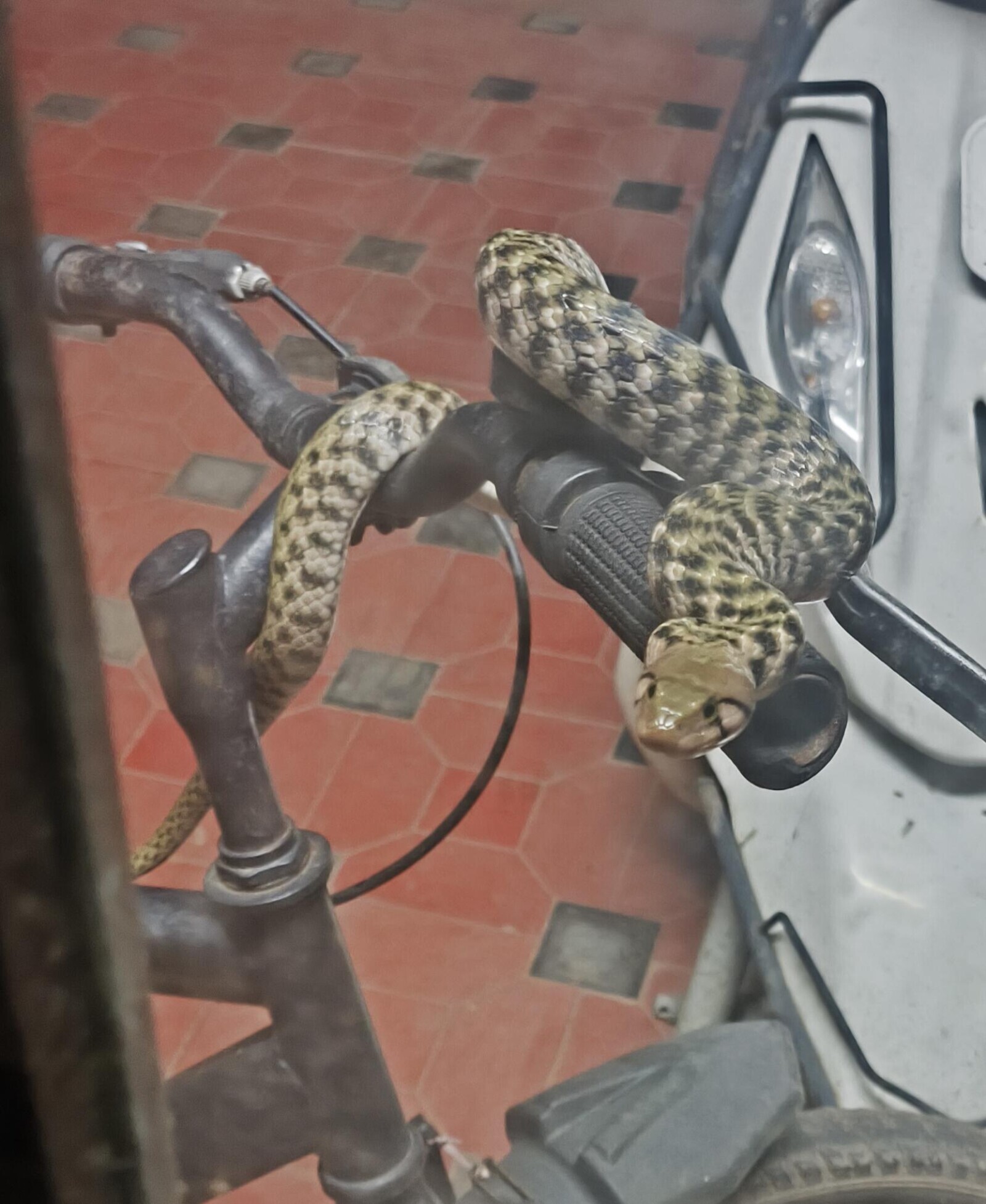 Tk Photos Where What's Happening Isn't Normal