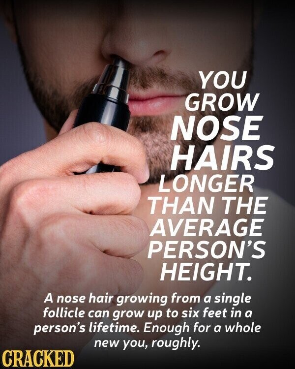 YOU GROW NOSE HAIRS LONGER THAN THE AVERAGE PERSON'S HEIGHT. A nose hair growing from a single follicle can grow up to six feet in a person's lifetime. Enough for a whole new you, roughly. CRACKED