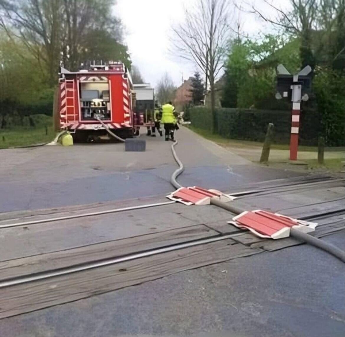 Photos Putting Humanity's Common Sense Into Question