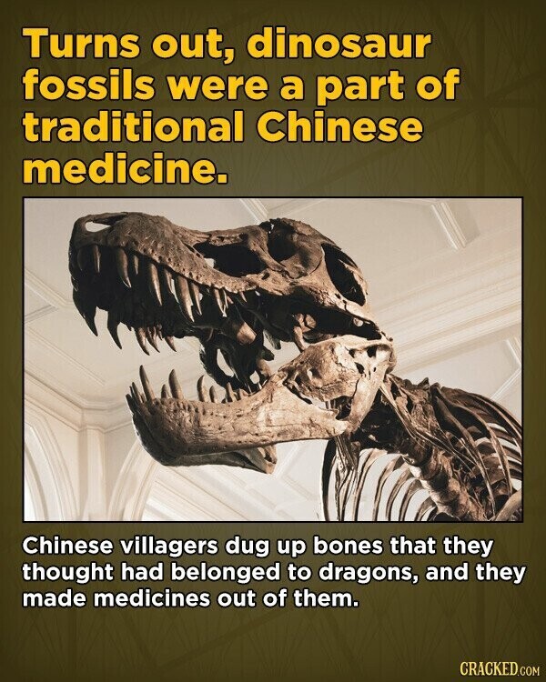 Turns out, dinosaur fossils were a part of traditional Chinese medicine. Chinese villagers dug up bones that they thought had belonged to dragons, and they made medicines out of them. CRACKED.COM