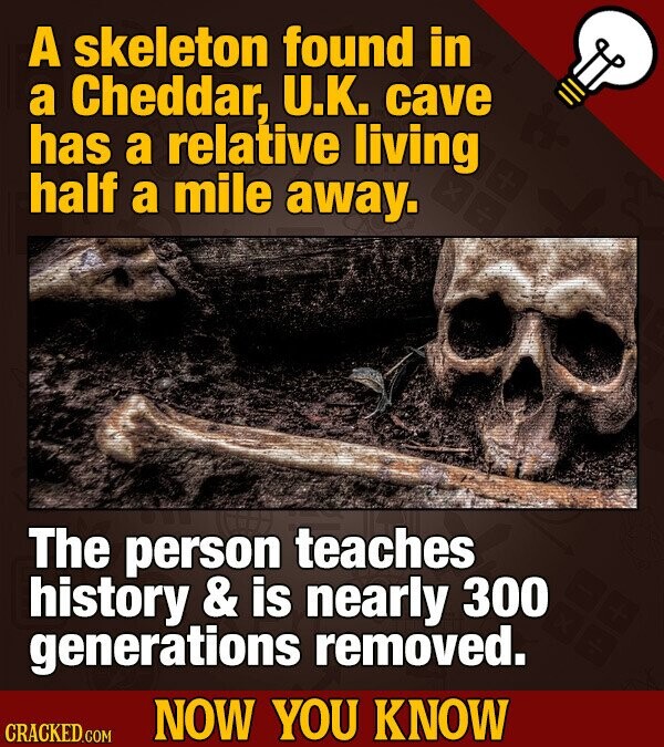 A skeleton found in a Cheddar, U.K. cave has a relative living half a mile away. The person teaches history & & is nearly 300 generations removed. NOW YOU KNOW CRACKED.COM