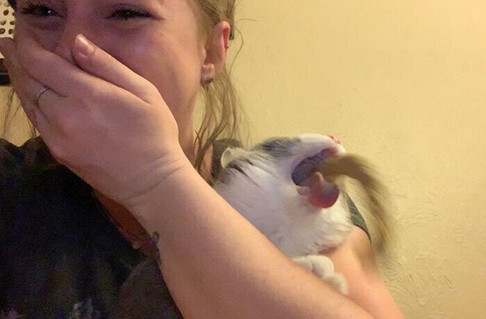 Photos Someone Should Have Pulled The E-Brake On