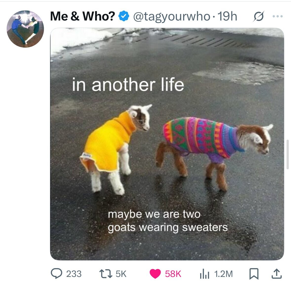Me & Who? @tagyourwho.19h s ... in another life maybe we are two goats wearing sweaters 233 5K 58K 1.2M 