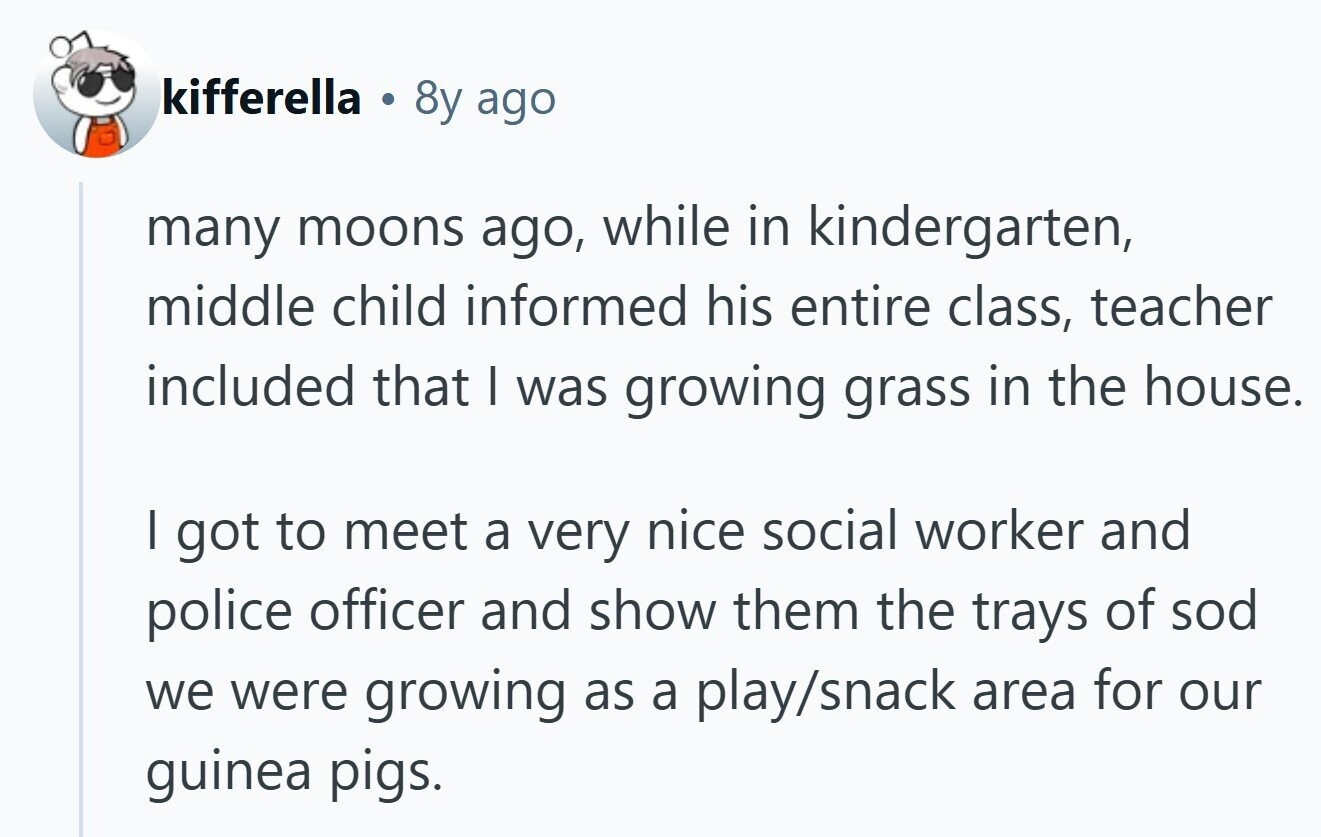 kifferella . 8y ago many moons ago, while in kindergarten, middle child informed his entire class, teacher included that I was growing grass in the house. I got to meet a very nice social worker and police officer and show them the trays of sod we were growing as a play/snack area for our guinea pigs. 