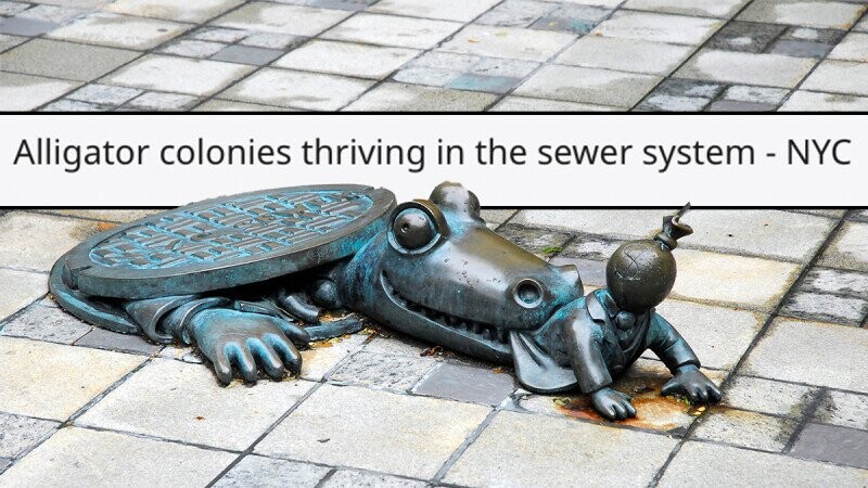 31 Wild and Crazy Urban Legends About People’s Hometowns