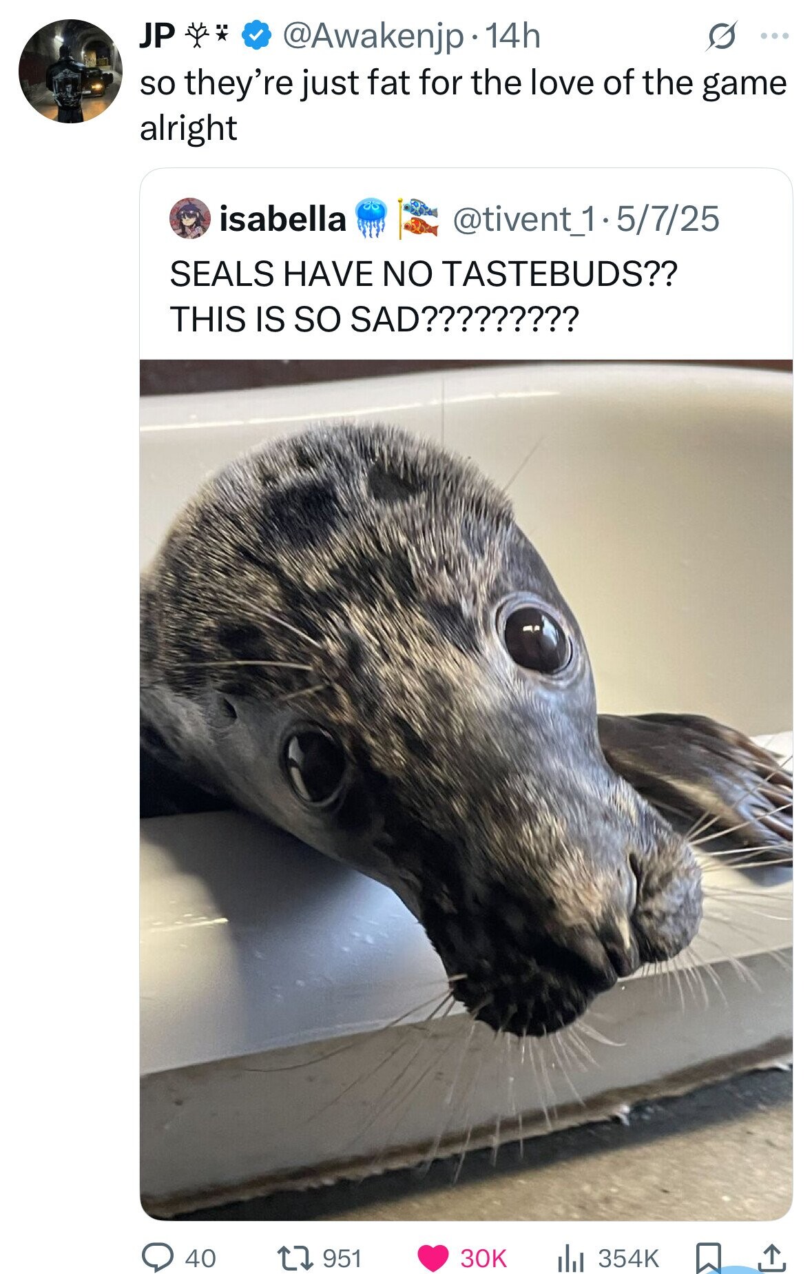 JP @Awakenjp 14h G ... so they're just fat for the love of the game alright isabella @tivent_1.5/7/25 SEALS HAVE NO TASTEBUDS?? THIS IS so SAD????????? 40 951 30K 354K
