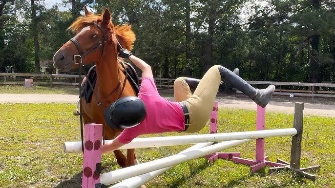 Photos Where Gravity Is Still Undefeated