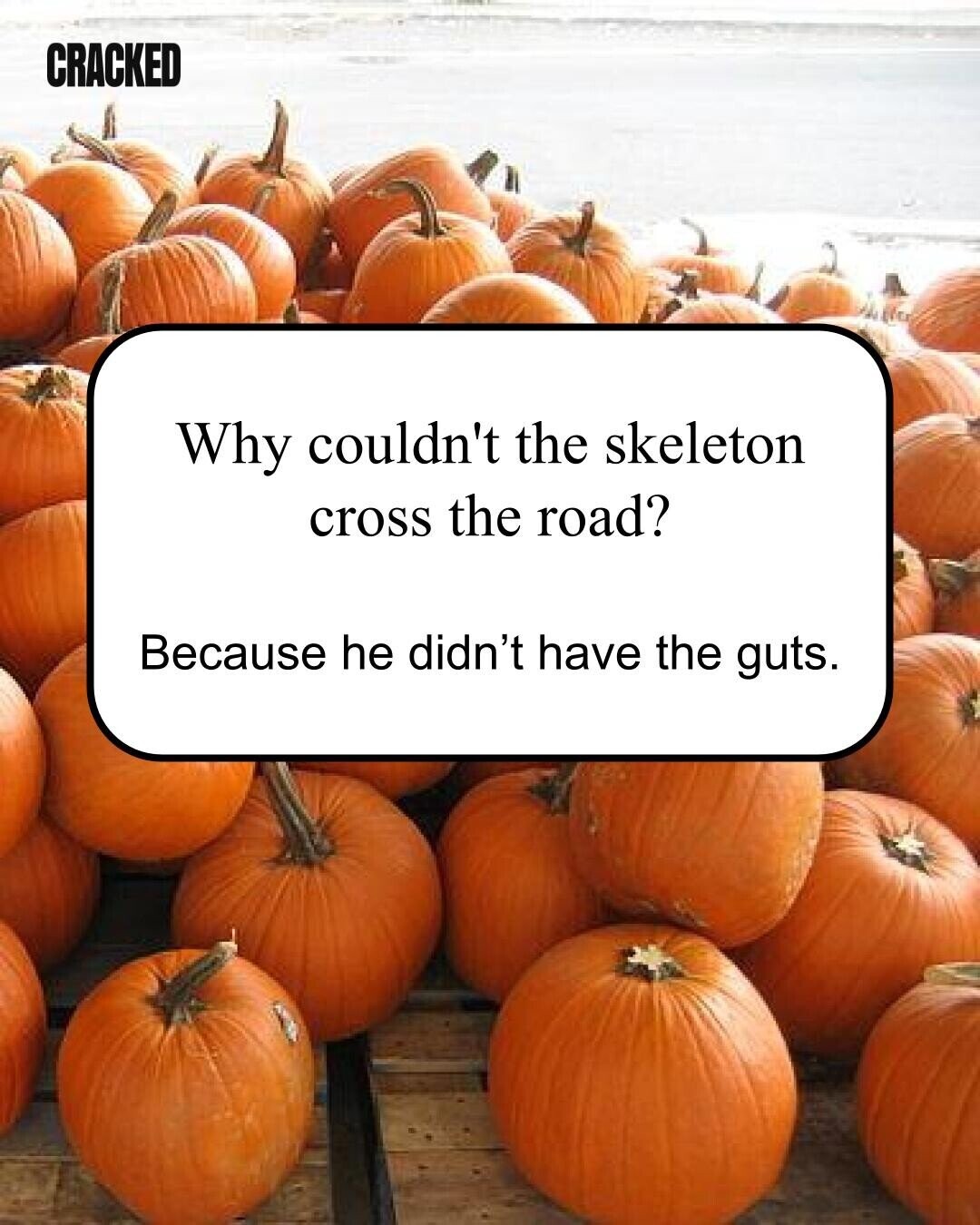 CRACKED Why couldn't the skeleton cross the road? Because he didn't have the guts.