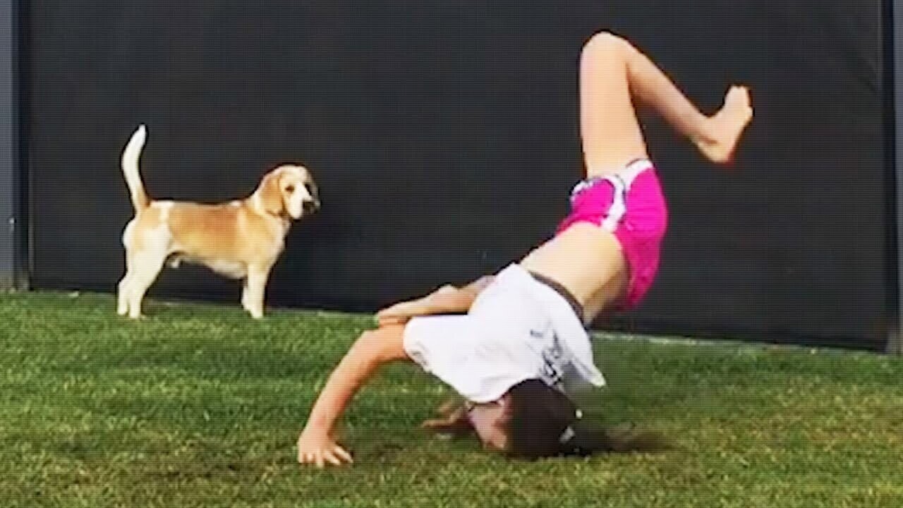 Photos Where Gravity Is Still Undefeated