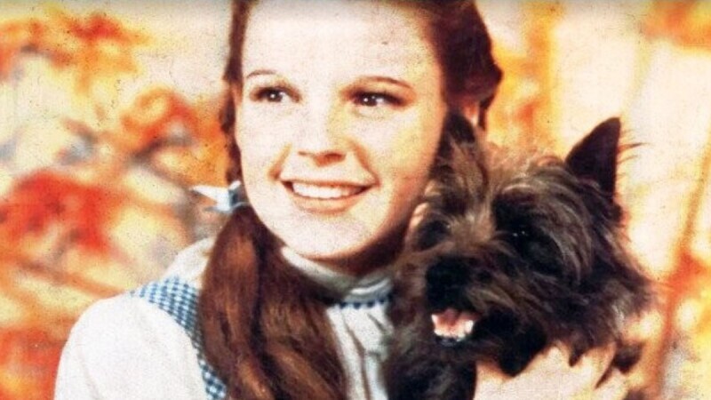 35 Movie Trivia Nuggets from Pop Culture History for Tuesday, November 25, 2025