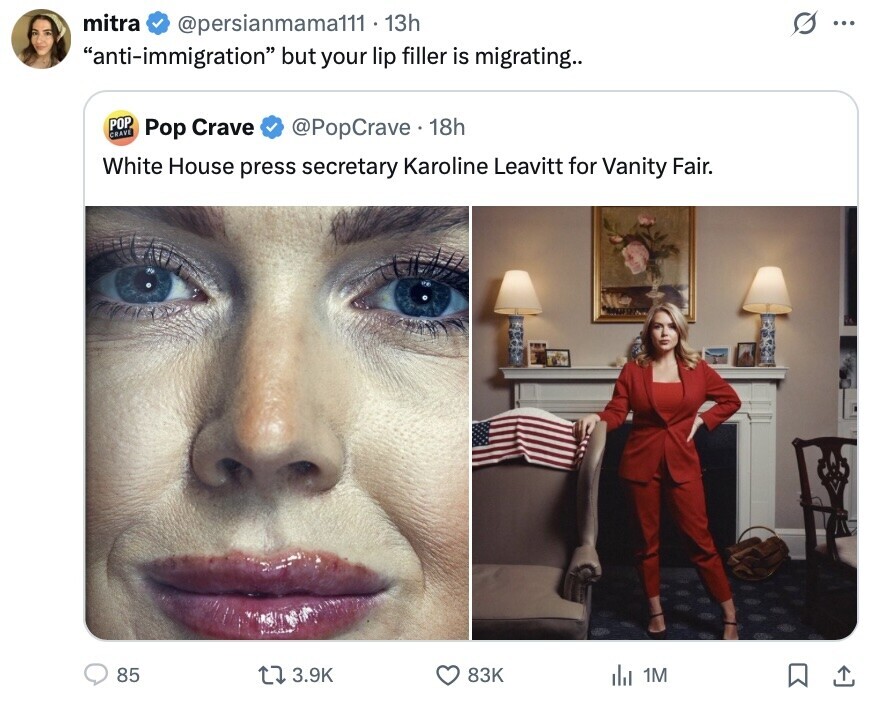 mitra @persianmamaff1 - 13h O ... anti-immigration but your lip filler is migrating.. POP CRAVE Pop Crave @PopCrave. 18h White House press secretary Karoline Leavitt for Vanity Fair. 85 3.9K 83K del 1M