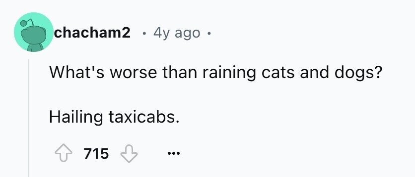 chacham2 . 4y ago . What's worse than raining cats and dogs? Hailing taxicabs. 715 ...