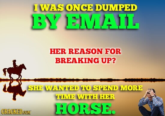 I WAS ONCE DUMPED BY EMAIL HER REASON FOR BREAKING UP? SHE WANTED TO SPEND MORE TIME WITH HER CRACKED.COM HORSE.