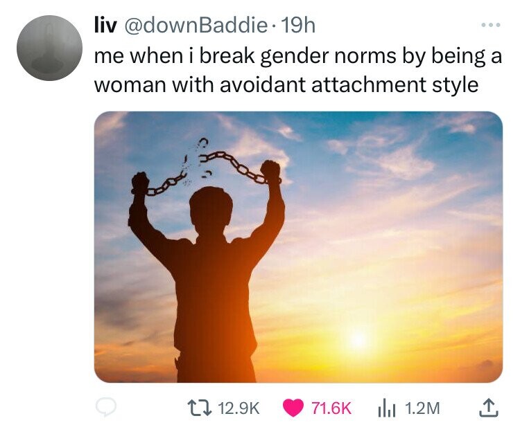 liv @downBaddie• 19h ... me when i break gender norms by being a woman with avoidant attachment style 12.9K 71.6K del 1.2M