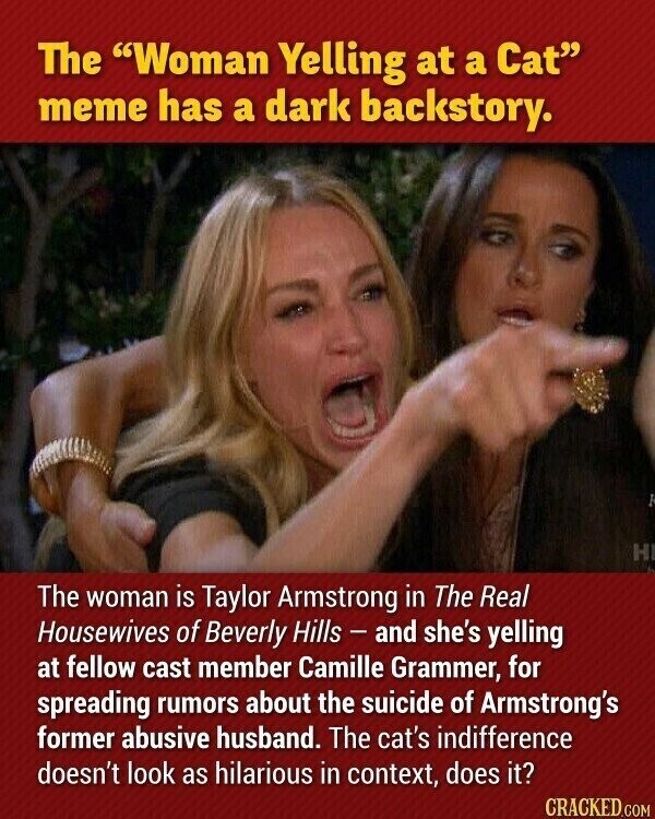 The Woman Yelling at a Cat meme has a dark backstory. I H The woman is Taylor Armstrong in The Real Housewives of Beverly Hills - and she's yelling at fellow cast member Camille Grammer, for spreading rumors about the suicide of Armstrong's former abusive husband. The cat's indifference doesn't look as hilarious in context, does it? CRACKED.COM