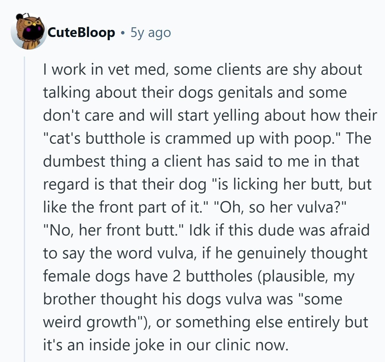 CuteBloop 5y ago | work in vet med, some clients are shy about talking about their dogs genitals and some don't care and will start yelling about how their cat's butthole is crammed up with poop. The dumbest thing a client has said to me in that regard is that their dog is licking her butt, but like the front part of it. Oh, so her vulva? No, her front butt. Idk if this dude was afraid to say the word vulva, if he genuinely thought female dogs have 2 buttholes (plausible, my brother thought his dogs vulva was some 