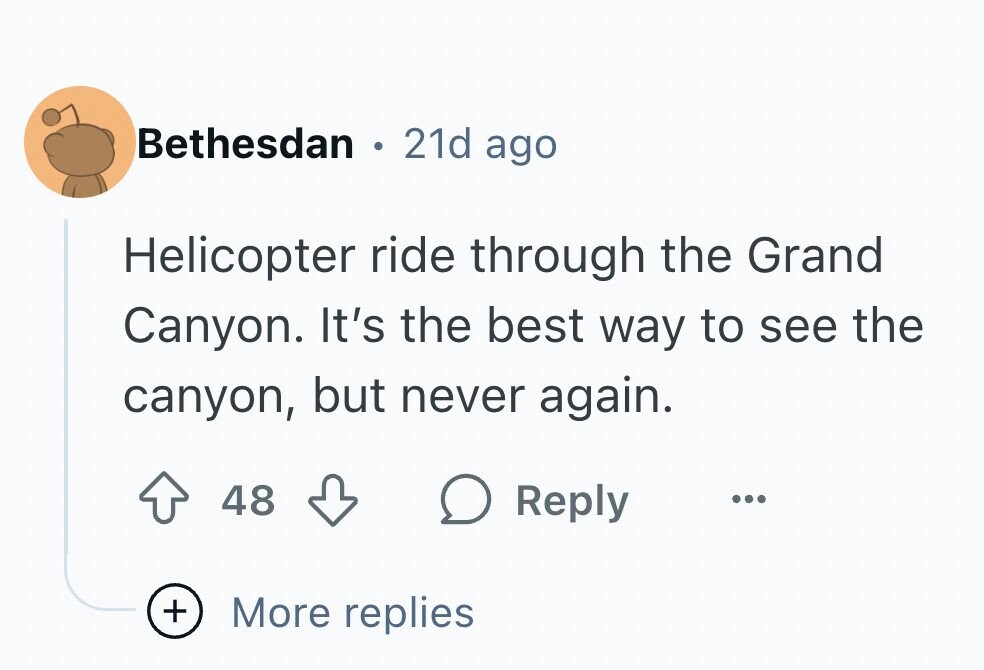 Bethesdan . 21d ago Helicopter ride through the Grand Canyon. It's the best way to see the canyon, but never again. 48 Reply ... + More replies