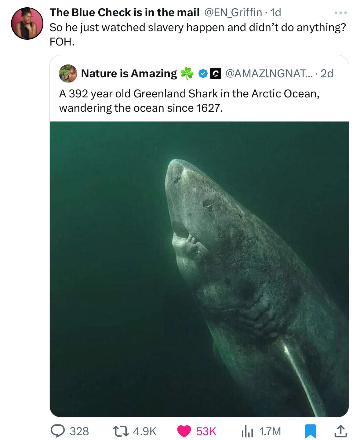 The Blue Check is in the mail @EN_Griffin - 1d So he just watched slavery happen and didn't do anything? FOH. @AMAZINGNAT... 2d Nature is Amazing A 392 year old Greenland Shark in the Arctic Ocean, wandering the ocean since 1627. 328 4.9K 53K 1.7M 