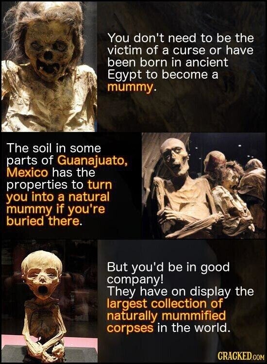 You don't need to be the victim of a curse or have been born in ancient Egypt to become a mummy. The soil in some parts of Guanajuato, Mexico has the properties to turn you into a natural mummy if you're buried there. But you'd be in good company! They have on display the largest collection of naturally mummified corpses in the world. CRACKED.COM