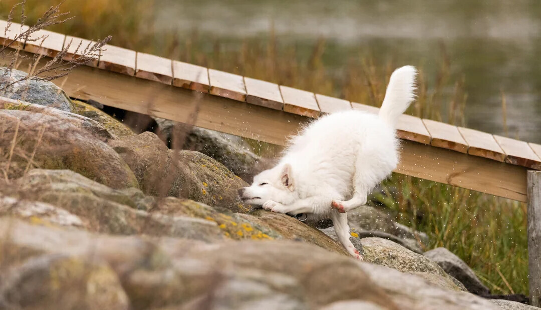 Photos Where We Don't Need Context to Understand