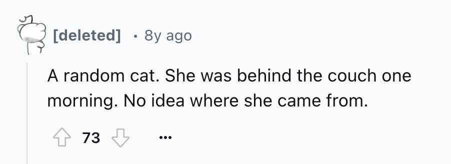 8y ago A random cat. She was behind the couch one morning. No idea where she came from. 73 ...