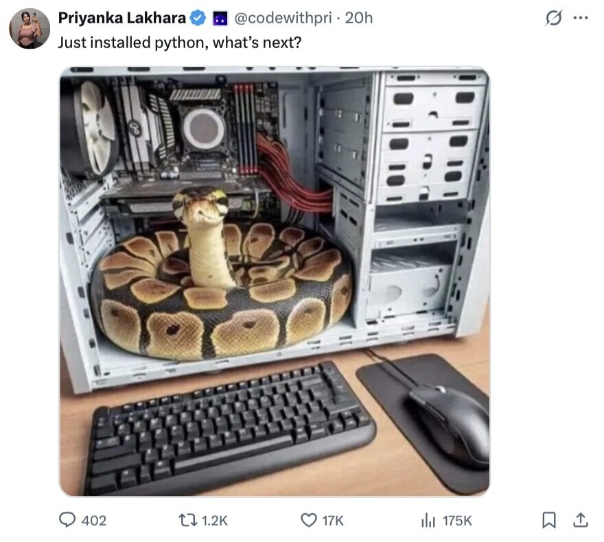 s ... Priyanka Lakhara @codewithpri.20h Just installed python, what's next? 402 1.2K 17K del 175K 