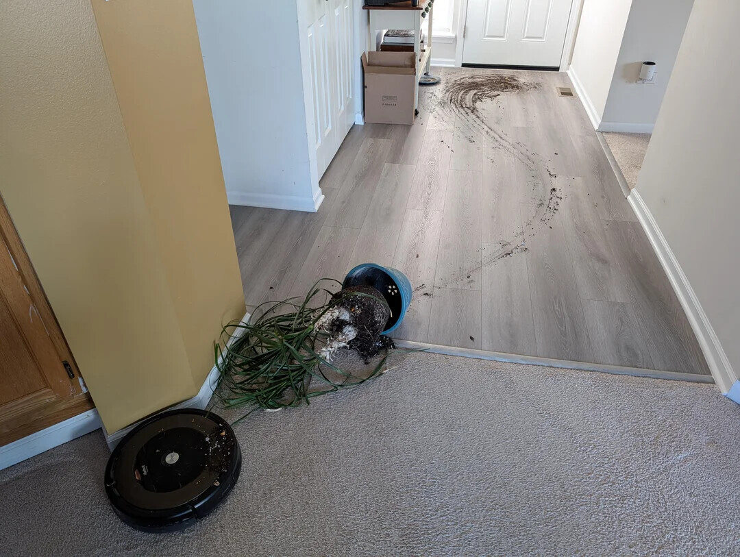 Photos Where We Don't Need Context to Understand