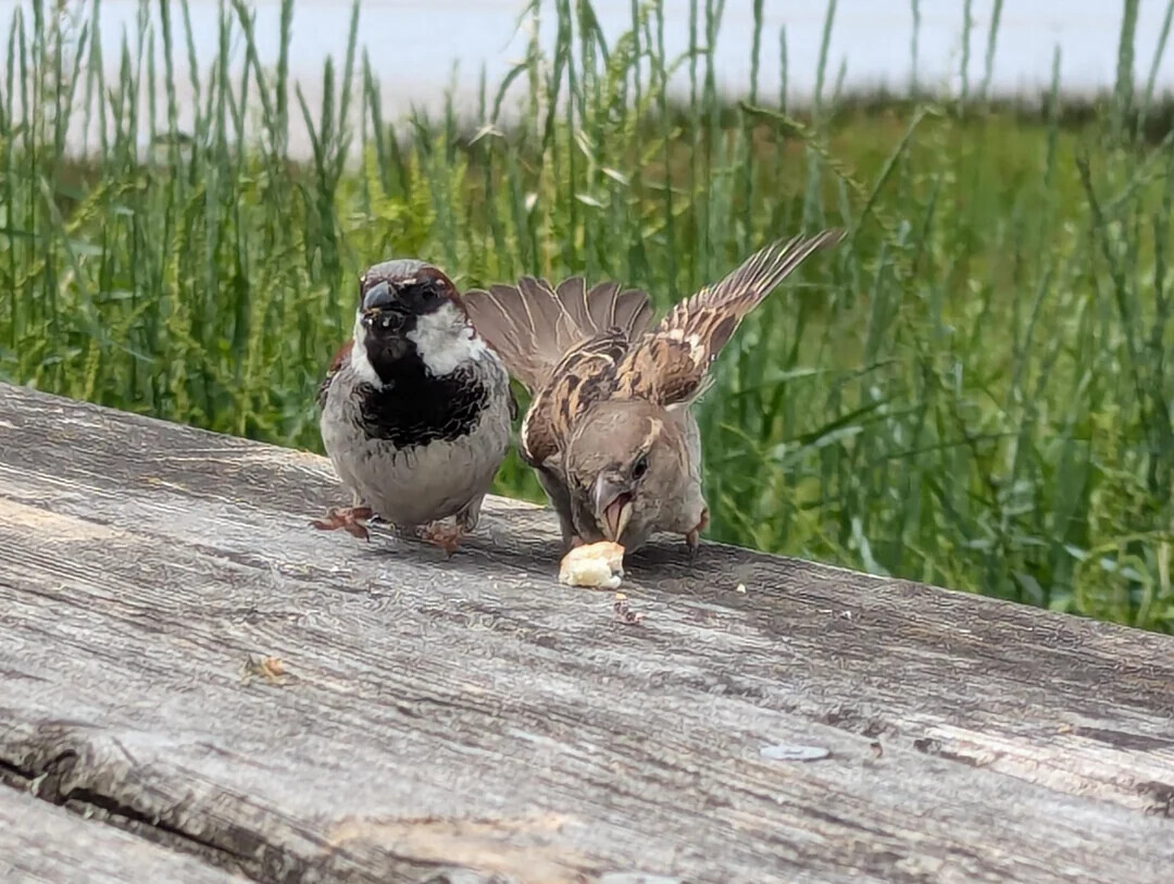 Photos Where We Don't Need Context to Understand