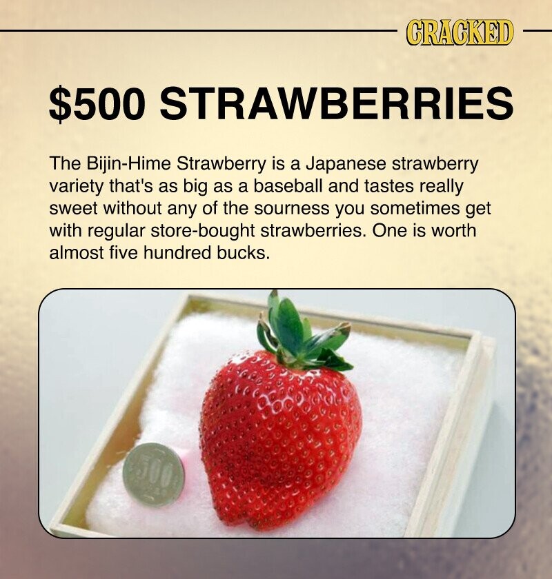 CRACKED $500 STRAWBERRIES The Bijin-Hime Strawberry is a Japanese strawberry variety that's as big as a baseball and tastes really sweet without any of the sourness you sometimes get with regular store-bought strawberries. One is worth almost five hundred bucks.