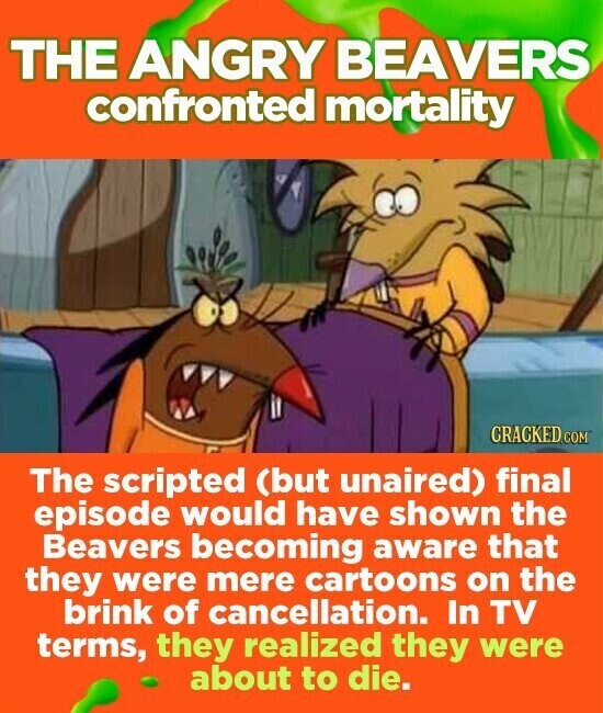 THE ANGRY BEAVERS confronted mortality CRACKED.COM The scripted (but unaired) final episode would have shown the Beavers becoming aware that they were mere cartoons on the brink of cancellation. In TV terms, they realized they were about to die.