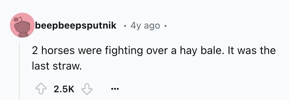 beepbeepsputnik . 4y ago o 2 horses were fighting over a hay bale. It was the last straw. 2.5K ...