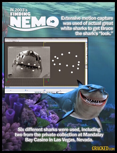 IN 2003's FINDING NEMO Extensive motion capture was used of actual great white sharks to get Bruce the shark's look. - CLASSICA ... Six different sharks were used, including two from the private collection at Mandalay Bay Casino in Las Vegas, Nevada. CRACKED.COM