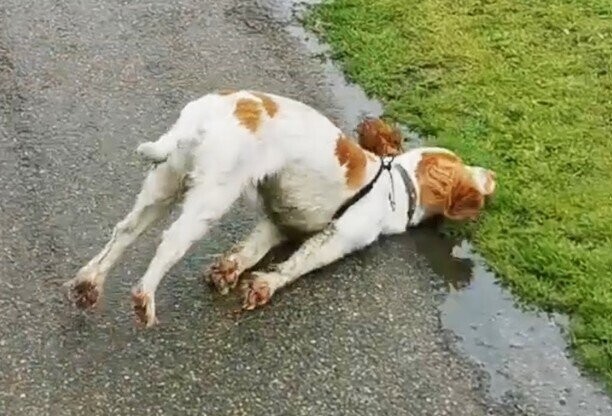 Photos Where Gravity Is Still Undefeated