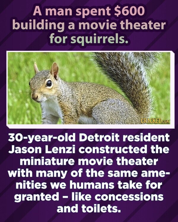 A man spent $600 building a movie theater for squirrels. CRACKED.COM 30-year-old Detroit resident Jason Lenzi constructed the miniature movie theater with many of the same ame- nities we humans take for granted - like concessions and toilets.
