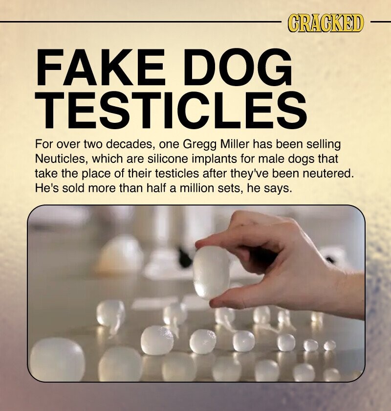 CRACKED FAKE DOG TESTICLES For over two decades, one Gregg Miller has been selling Neuticles, which are silicone implants for male dogs that take the place of their testicles after they've been neutered. He's sold more than half a million sets, he says.
