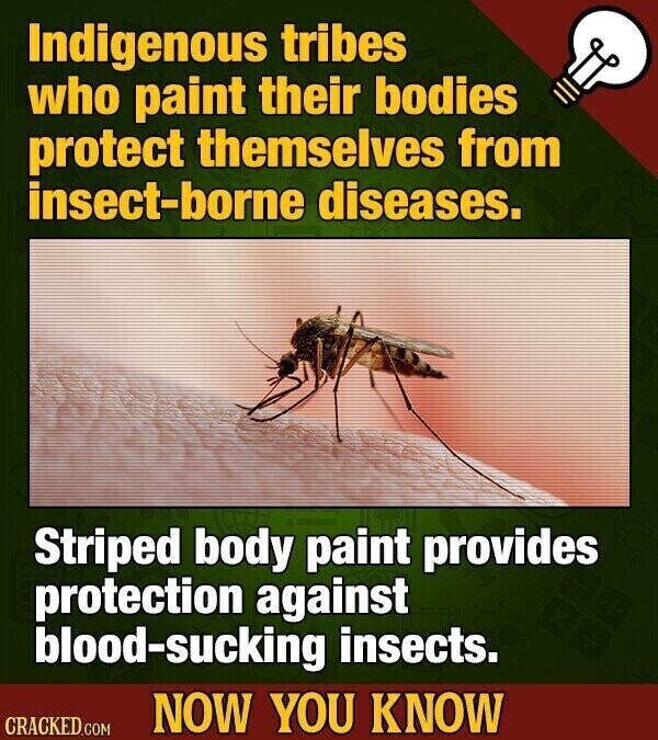 Indigenous tribes who paint their bodies protect themselves from insect-borne diseases. Striped body paint provides protection against blood-sucking insects. NOW YOU KNOW CRACKED.COM