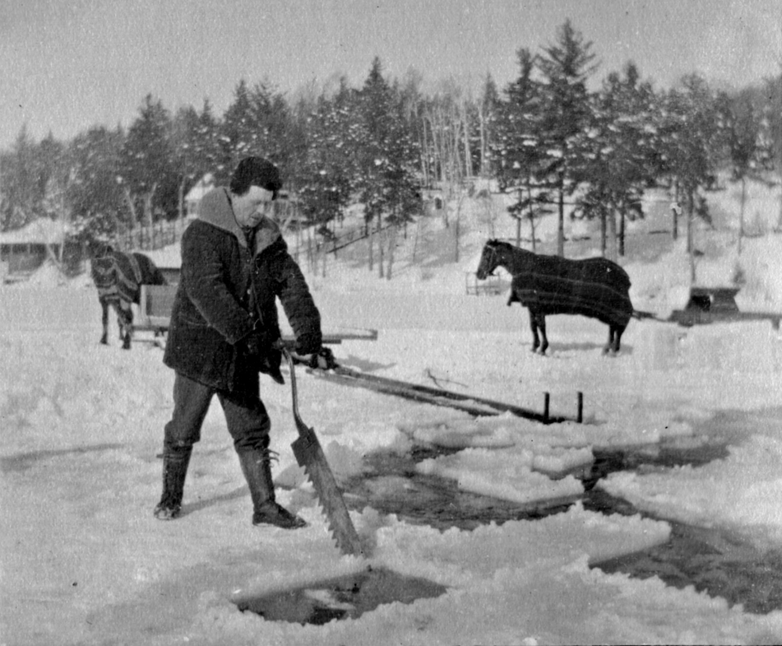 15 Common Jobs History Vanished Overnight Like Magic