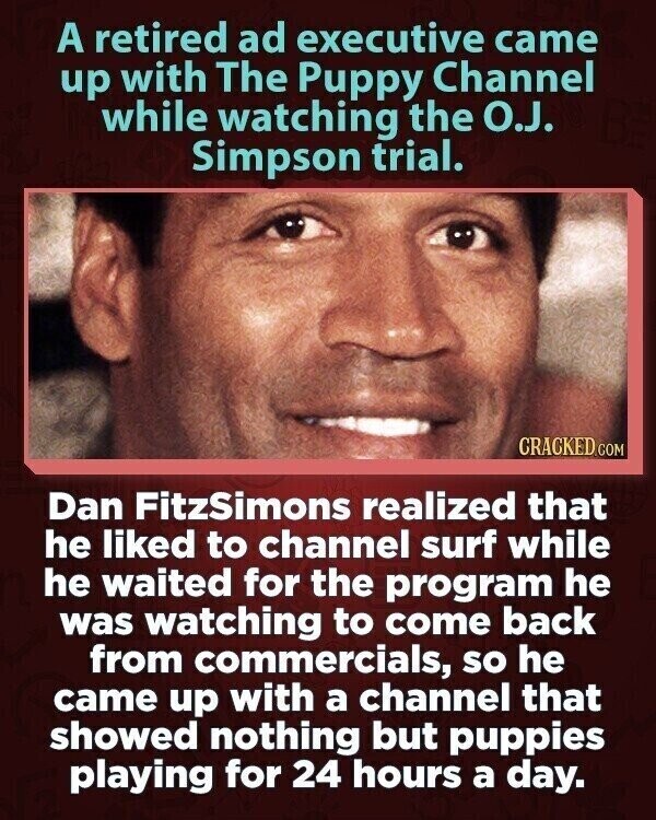 A retired ad executive came up with The Puppy Channel while watching the O.J. Simpson trial. CRACKED.COM Dan FitzSimons realized that he liked to channel surf while he waited for the program he was watching to come back from commercials, so he came up with a channel that showed nothing but puppies playing for 24 hours a day.