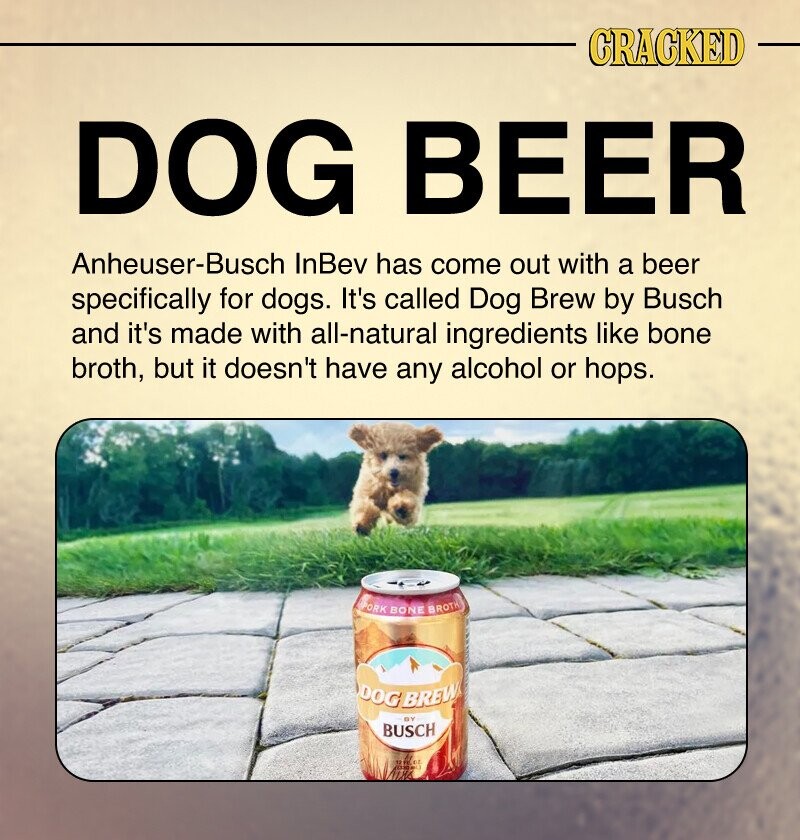 CRACKED DOG BEER Anheuser-Busch InBev has come out with a beer specifically for dogs. It's called Dog Brew by Busch and it's made with all-natural ingredients like bone broth, but it doesn't have any alcohol or hops. PORK BONE BROTH DOG BREW BY BUSCH