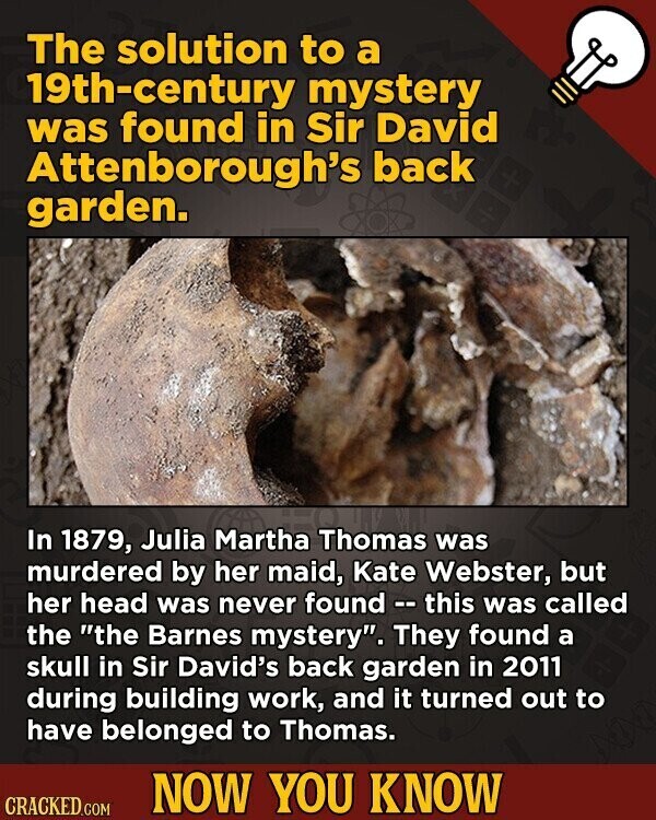 The solution to a 19th-century mystery was found in Sir David Attenborough's back garden. In 1879, Julia Martha Thomas was murdered by her maid, Kate Webster, but her head was never found - this was called the the Barnes mystery. They found a skull in Sir David's back garden in 2011 during building work, and it turned out to have belonged to Thomas. NOW YOU KNOW CRACKED.COM