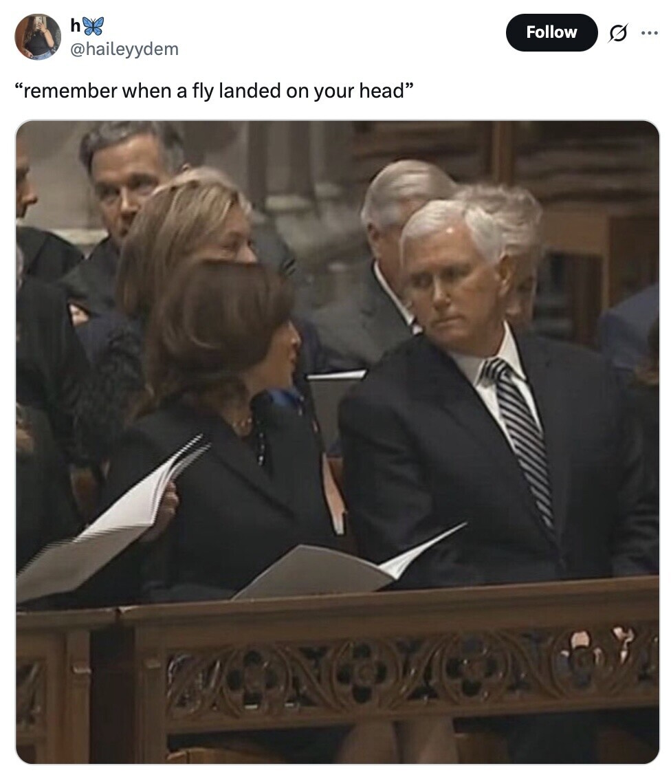 h Follow ... @haileyydem remember when a fly landed on your head 