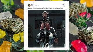 35 of the Funniest Tweets from Monday, August 25, 2025