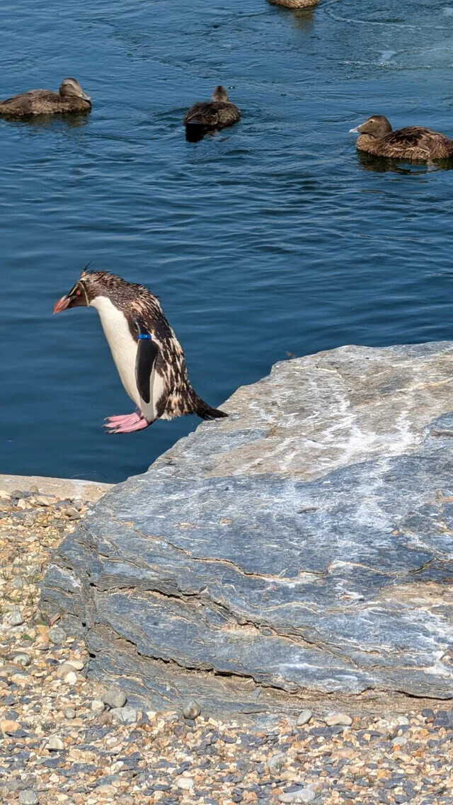 Photos Where We Don't Need Context to Understand