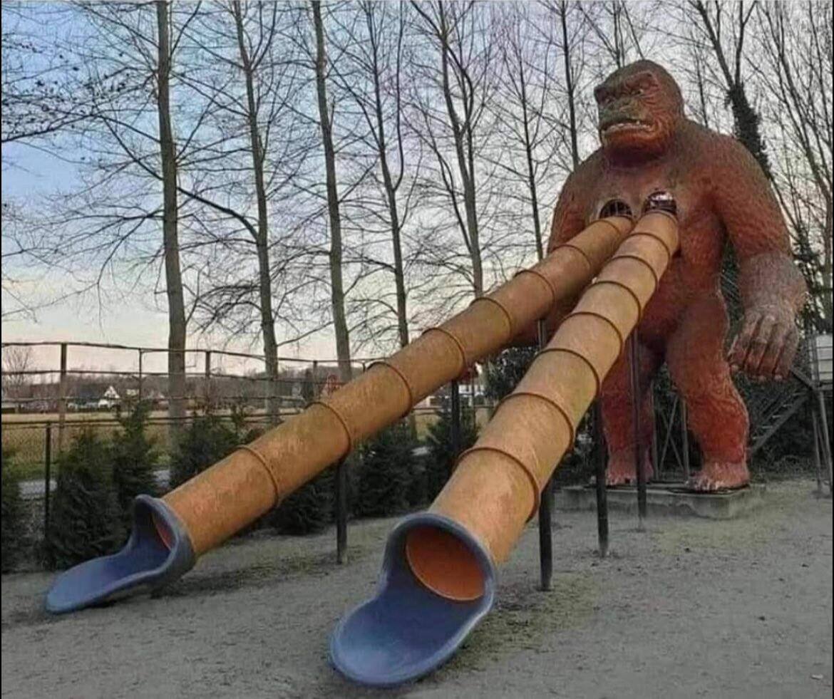 Photos Where Humanity's Common Sense is Put into Doubt